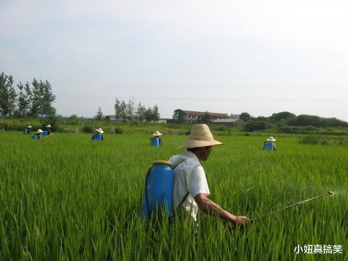 强力内吸：推荐杀虫剂