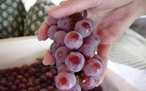 提子农药残留的严重性