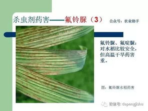 农药嘛， 当然要小心点用