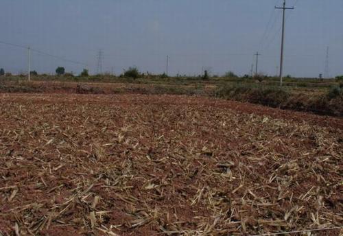 雨季用药，黄金法则大揭秘