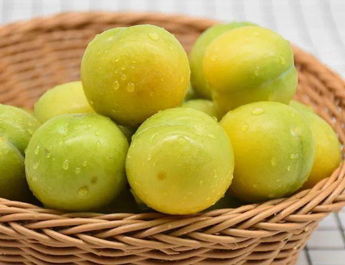 蜂糖李——五月甜蜜的使者