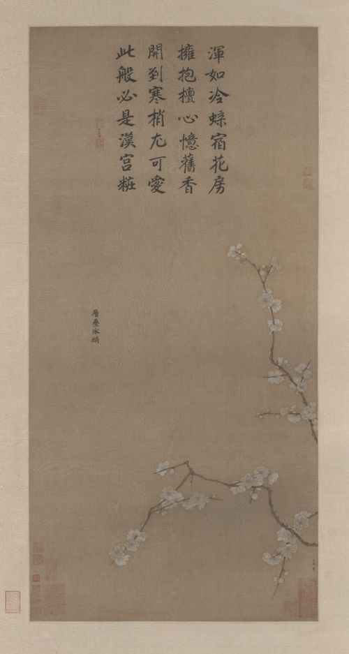 冬青叶影藏奥秘，谁解其中真意深