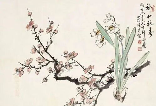 水仙梅花的花语和象征意义分别是什么