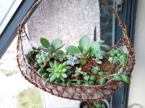 注意事项，你记住了吗？