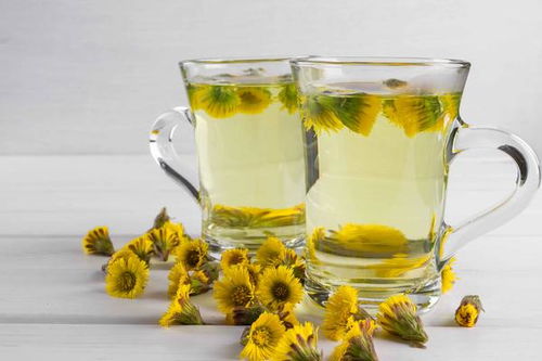 菊花茶清热解毒，你知道还有哪些功效吗