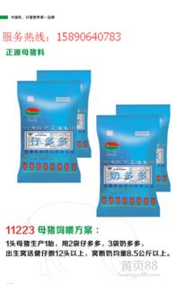 母猪使用预混料或浓缩料哪种更适合，以及在使用猪用预混料时应注意哪些事项？