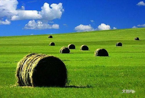 凶险与机遇并存