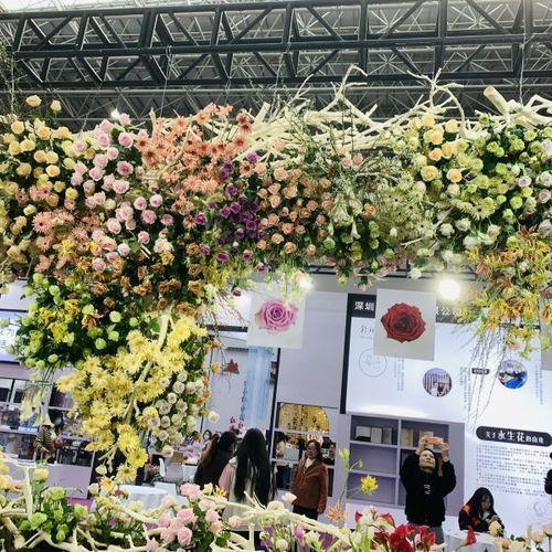 成者阝花卉博览会，花海中的狂欢派对！