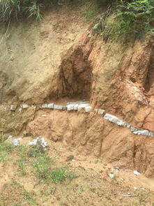 石头山上嫩种出摇钱树？辽西农户的奇幻之旅