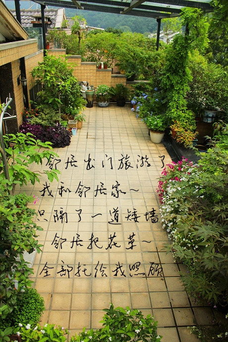 屋顶花园墙高多高合适？我来告诉你哦！