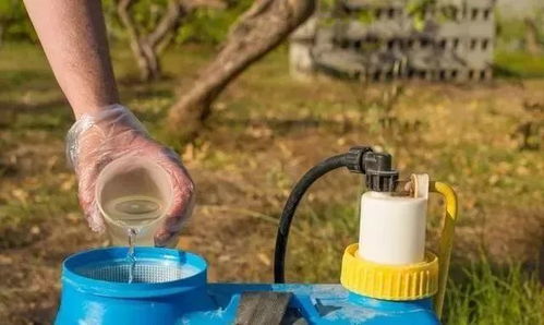 Neng不Neng混用？要注意啥？