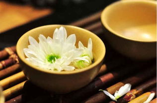 金银花菊花茶多久喝一次？听听老中医怎么说
