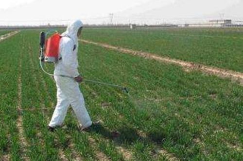 不同除草剂的效果时间