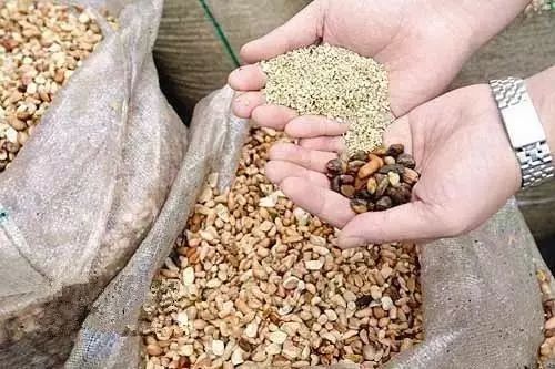 使用壮素需要注意什么？