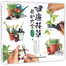 花卉养护工的日常琐事：守护绿色生命的使者