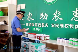 豆芽质量安全专项检查行动，旨在保障消费者食用安全