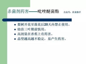 研发背后的秘密