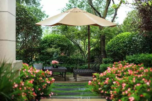 紫花苜蓿：牧场永动机