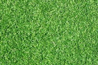 小编观点：学会“偷懒”，放手让植物自己折腾