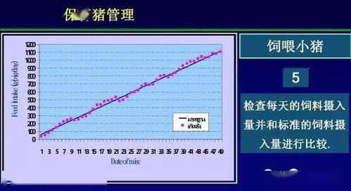 猪场管理如何通过保育舍数据记录实现科学决策？