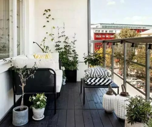 楼顶露台植物日常管护要点