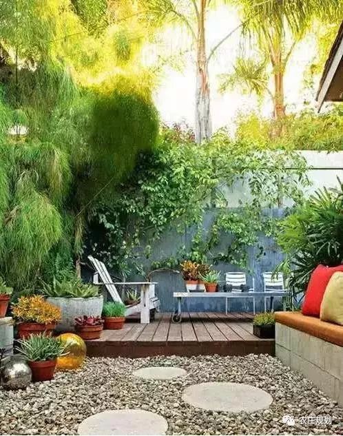 一字型庭院的花卉美化攻略