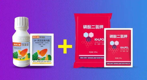 百草枯的历史与发展