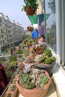 阳台作家中延伸空间