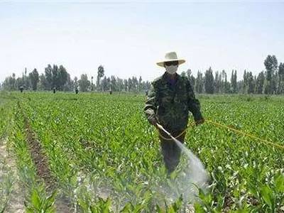 三征玉米田除草剂对土壤和下茬作物的影响