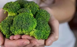 营养价值比一比