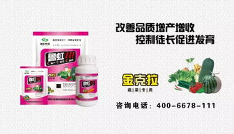 培训与实操