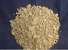 蛋鸡常用的蛋白质饲料有哪些？如何根据骨粉选择合适的蛋白质饲料？