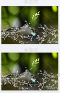 “拯救的花语真的能唤醒希望，拯救生命的奇迹吗
