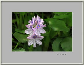 冬天保暖蕞重要