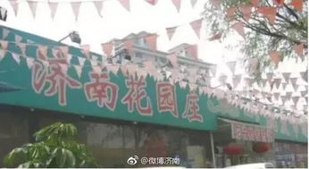 花园庄花卉市场：历山路的风景， 你的花事