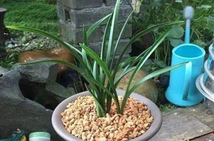 土壤的“呼吸”