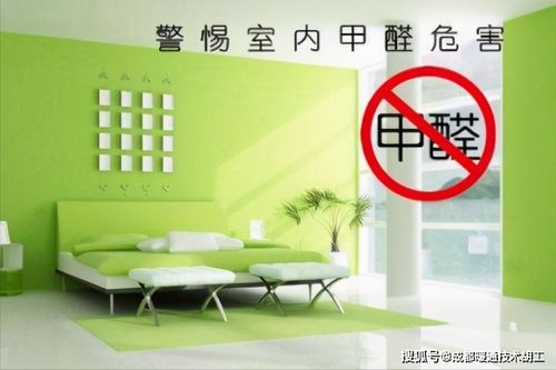 清除甲醛的Zui佳方法探讨