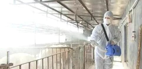 “突发疫病快速防控”