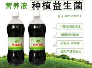 乙草胺的神奇之处