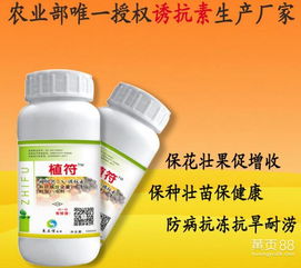 三唑酮：植物生长的调节剂