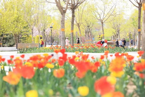 春天来了种子发芽啦！