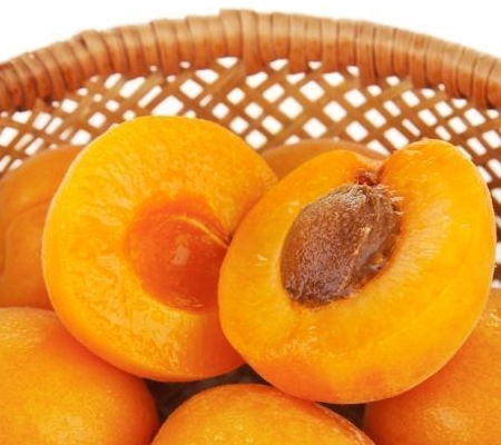 杏子种植的注意事项