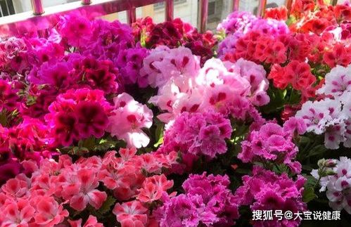 爱情的优点与缺点