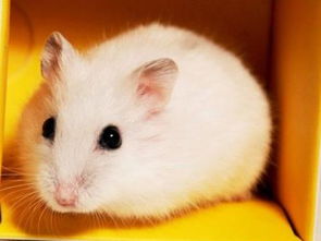 长期接触杀虫剂会有什么后果呢？