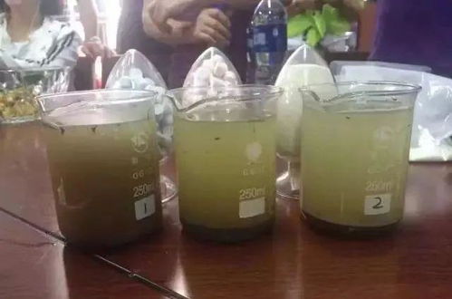 第一步：物理吸附