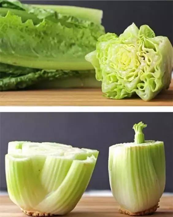 生菜：清新爽口的小菜