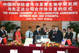 中国化工集团，Neng成为先正达的Mr.Right吗？