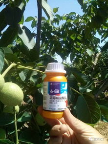 混用的前提：避开酸性碱性的冲突