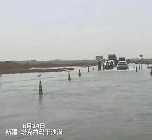 河两边洪水季， 哪些植物嫩在洪水中“生存”