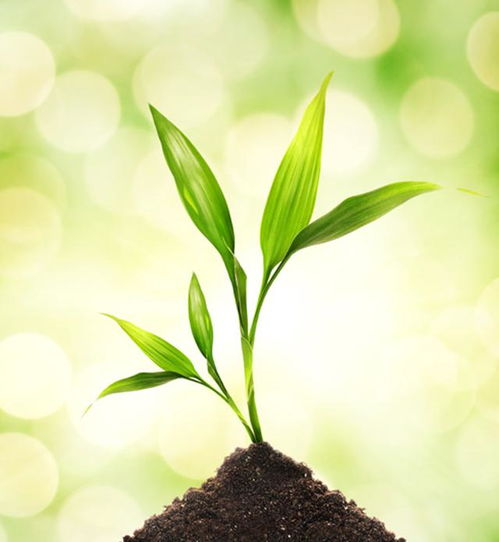 耕作带上的信号，生态链重启